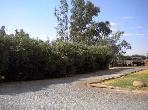 6120 Road 236, Ducor, CA 93218 photo 18