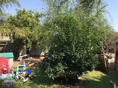 15735 Jasmine Ave #C, Ivanhoe, CA 93235 photo 4