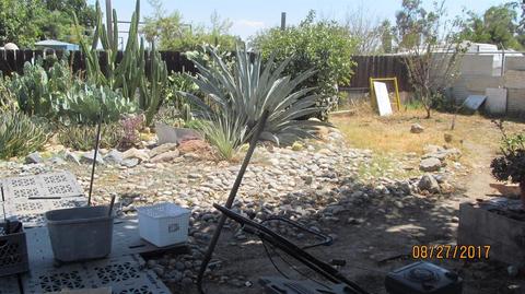605 E Roosevelt Ave, Visalia, CA 93292 photo 12