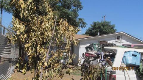 605 E Roosevelt Ave, Visalia, CA 93292 photo 14