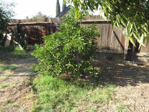 626 E Sonora, Tulare, CA 93274 photo 12