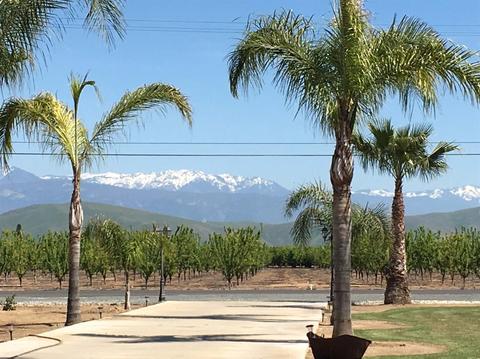 25747 Road 188, Exeter, CA 93221 photo 2