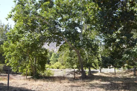 7585 Live Oak Dr, Sanger, CA 93657 photo 12