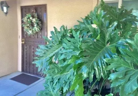 1733 E Alpine Ave, Tulare, CA 93274 photo 7