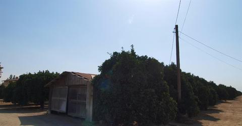 169 W Balaam Ave, Exeter, CA 93221 photo 64