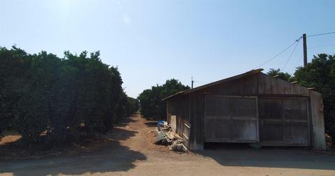 169 W Balaam Ave, Exeter, CA 93221 photo 24