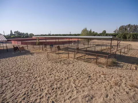29858 Road 212, Exeter, CA 93221 photo 29