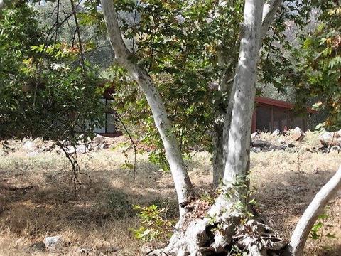 42480 Kaweah River Dr, Three Rivers, CA 93271 photo 17