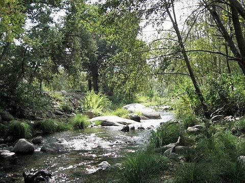 42480 Kaweah River Dr, Three Rivers, CA 93271 photo 15