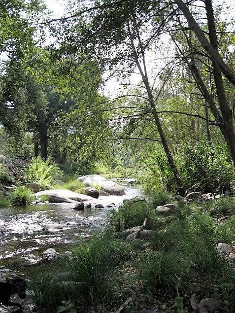 42480 Kaweah River Dr, Three Rivers, CA 93271 photo 16