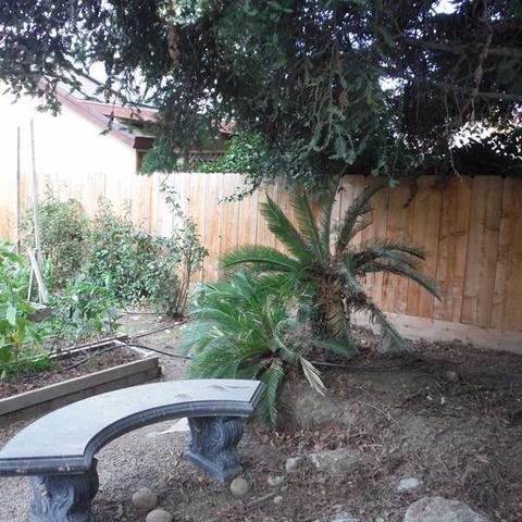 2237 E Vassar Dr, Visalia, CA 93292 photo 23
