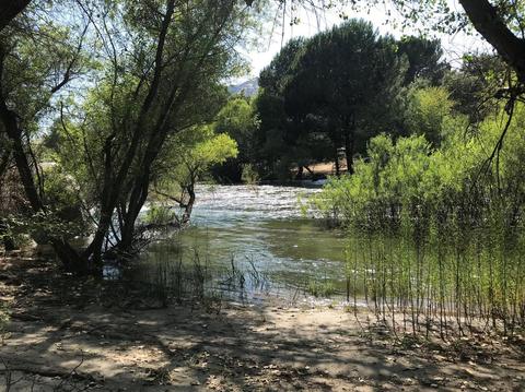 42493 Sierra Dr, Three Rivers, CA 93271 photo 17