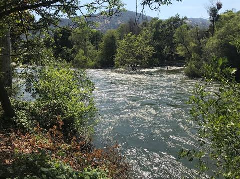 42493 Sierra Dr, Three Rivers, CA 93271 photo 3