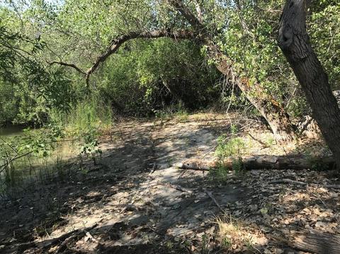 42493 Sierra Dr, Three Rivers, CA 93271 photo 15