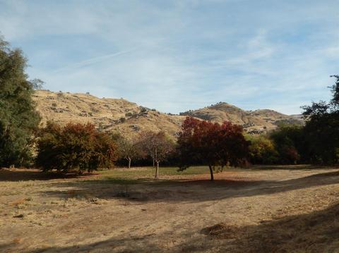 32212 Fritz Dr, Exeter, CA 93221 photo 40