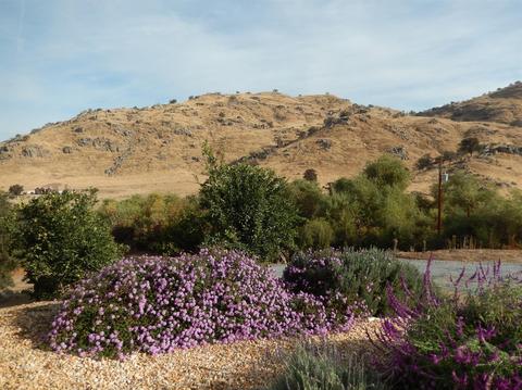 32212 Fritz Dr, Exeter, CA 93221 photo 35