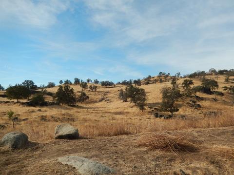 32212 Fritz Dr, Exeter, CA 93221 photo 37