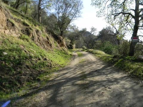 47000 Sierra Drive Dr, Three Rivers, CA 93271 photo 33