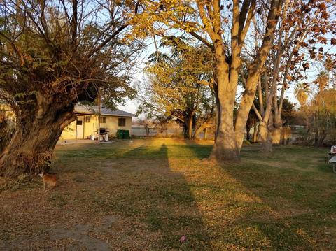 20067 Lacey Blvd, Lemoore, CA 93245 photo 2