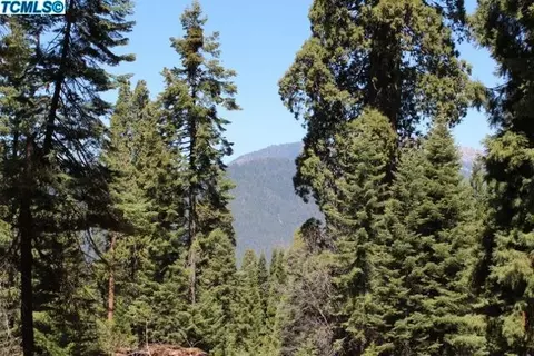 55192 Alder Dr, Sequoia Crest, CA 93265 photo 3
