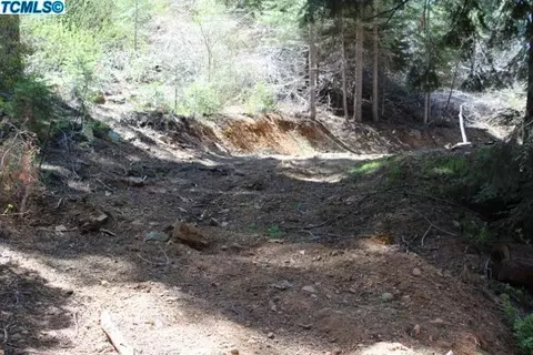 55192 Alder Dr, Sequoia Crest, CA 93265 photo 1