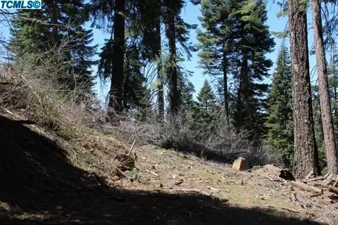 55192 Alder Dr, Sequoia Crest, CA 93265 photo 5