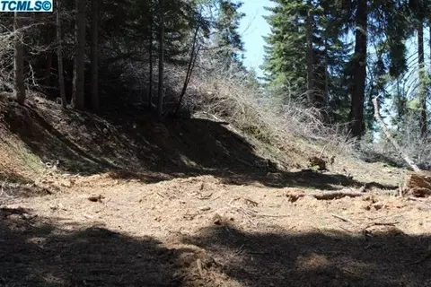 55192 Alder Dr, Sequoia Crest, CA 93265 photo 2
