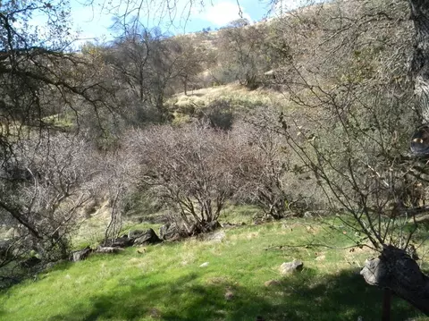 44335 Dinely Dr, Three Rivers, CA 93271 photo 7