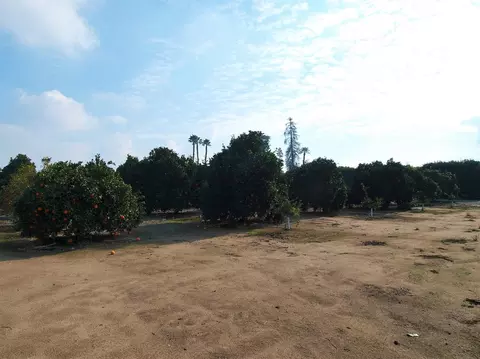 1982 N Belmont Rd, Exeter, CA 93221 photo 68