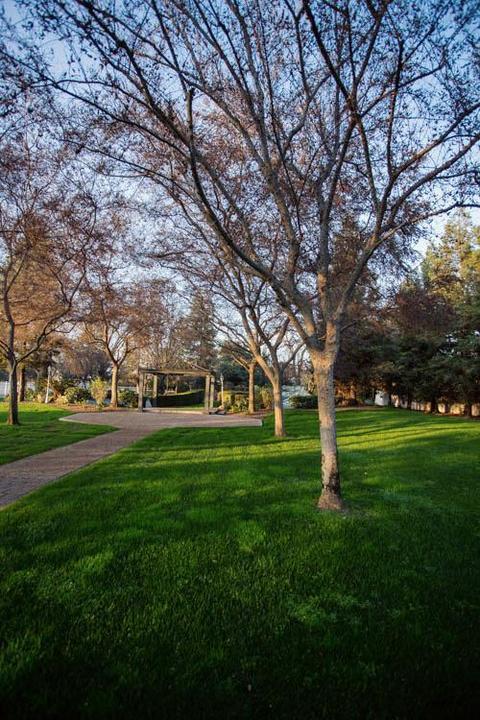 2567 E Bardsley Ave, Tulare, CA 93274 photo 61