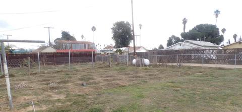23341 Parsons Ave, Ducor, CA 93218 photo 13