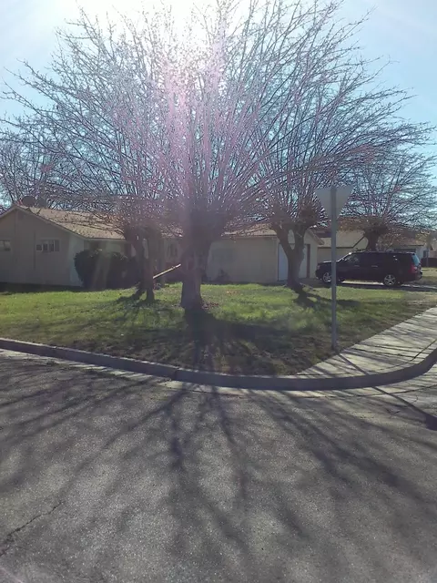 1601 Hale Ave, Corcoran, CA 93212 photo 5