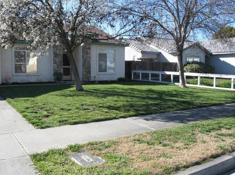 1117 Cousins Ct, Lemoore, CA 93245 photo 5