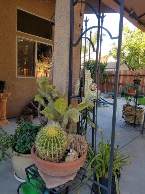 1111 E Arlen Ave, Visalia, CA 93292 photo 20