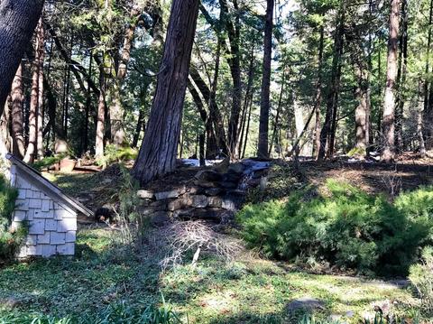 25 Easy Ct, Springville, CA 93265 photo 37