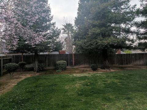 1012 N Stanford Ave, Clovis, CA 93611 photo 21