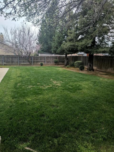 1012 N Stanford Ave, Clovis, CA 93611 photo 20