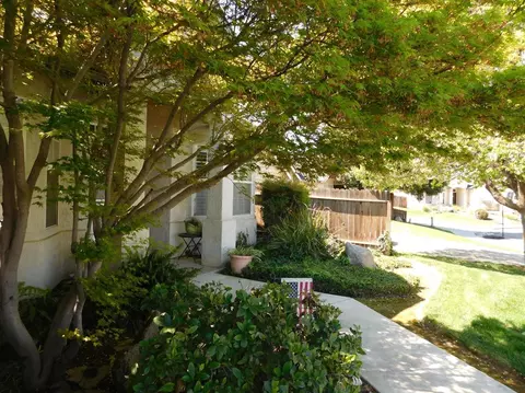3631 E School Ct, Visalia, CA 93292 photo 7