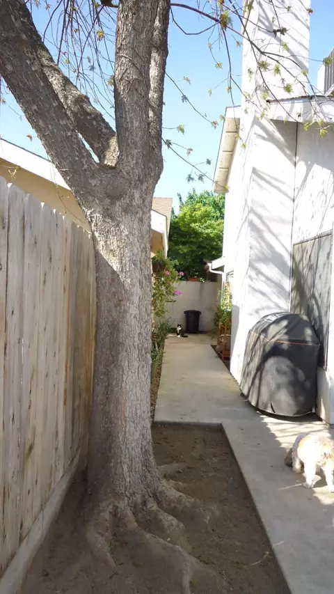 2331 E Sweet Ave, Visalia, CA 93292 photo 32