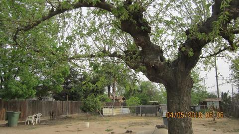 713 E K Ave, Visalia, CA 93292 photo 15