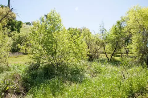 16604 Cattle Dr, Springville, CA 93265 photo 30