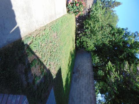 4141 E Laurel Ave, Visalia, CA 93292 photo 32