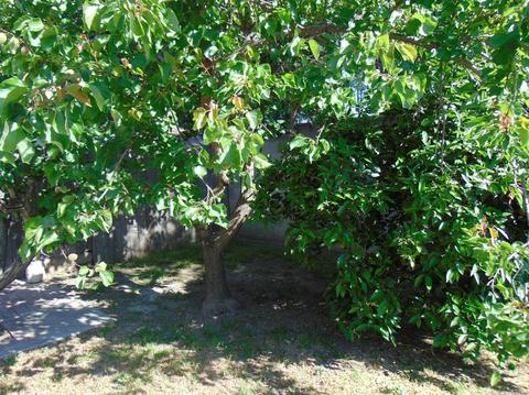 4141 E Laurel Ave, Visalia, CA 93292 photo 41
