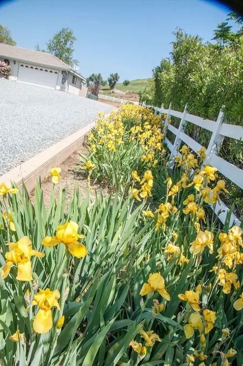31014 Angus Loop Dr, Springville, CA 93265 photo 8