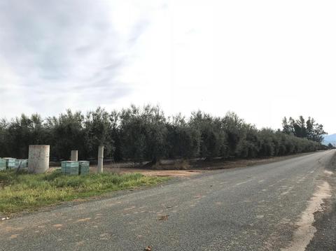 19099 Road 236, Strathmore, CA 93267 photo 8