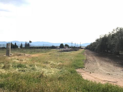 19099 Road 236, Strathmore, CA 93267 photo 15