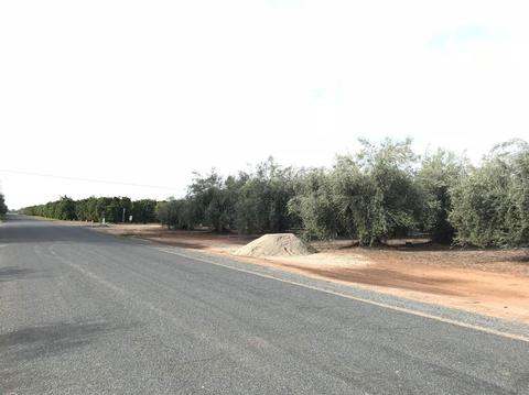 19099 Road 236, Strathmore, CA 93267 photo 3