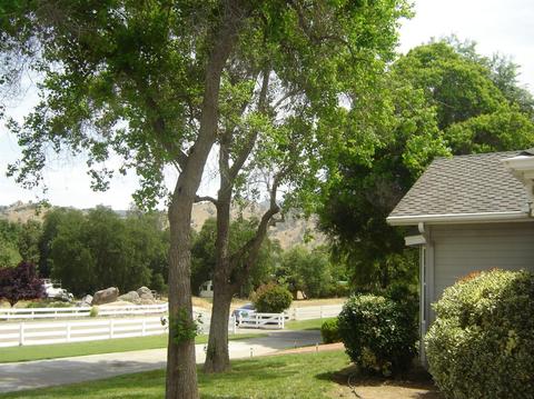33681 Bear Ln, Springville, CA 93265 photo 51
