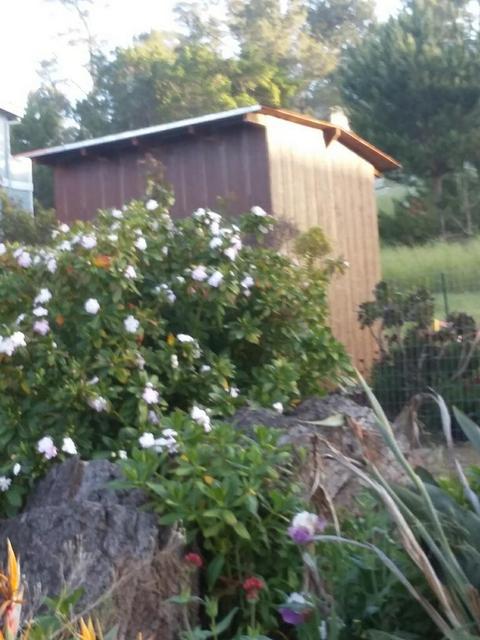 3056 Ardath, Cambria, CA 93428 photo 8