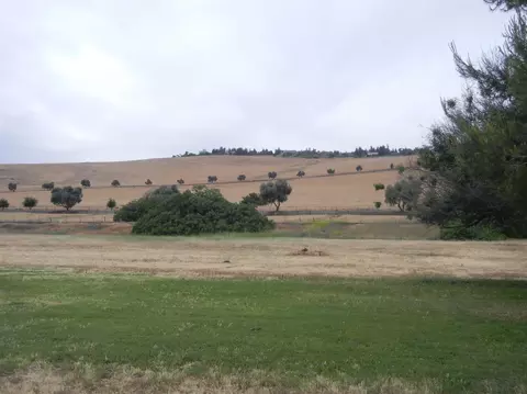 29515 Road 217, Exeter, CA 93221 photo 6